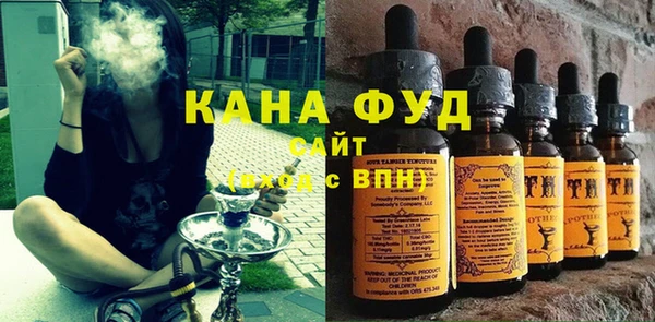 индика Балахна