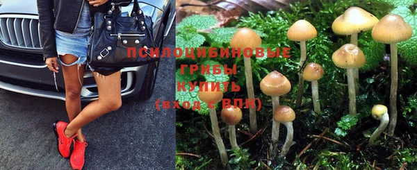 бутират Баксан