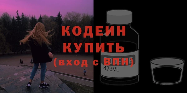 индика Балахна