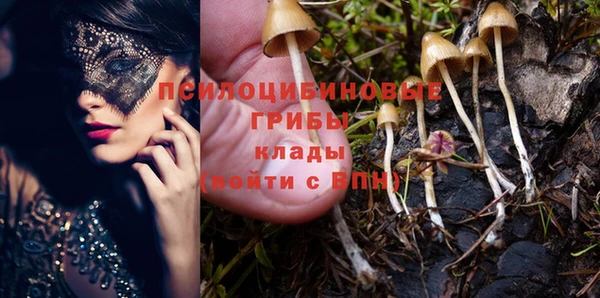 индика Балахна