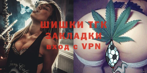 индика Балахна