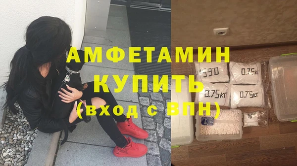 индика Балахна