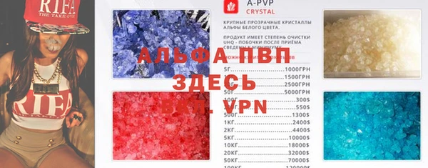 индика Балахна
