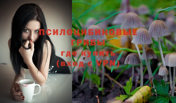 индика Балахна